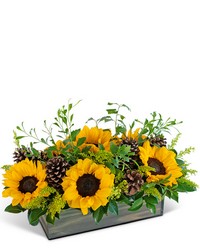 Rustic Autumn Fields from Schultz Florists, flower delivery in Chicago